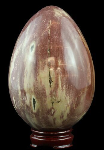 Colorful, Polished Petrified Wood Egg - Madagascar #51662